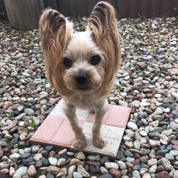 2c51605d f3ea 405d 845a e085f17f9d19 1630228822242