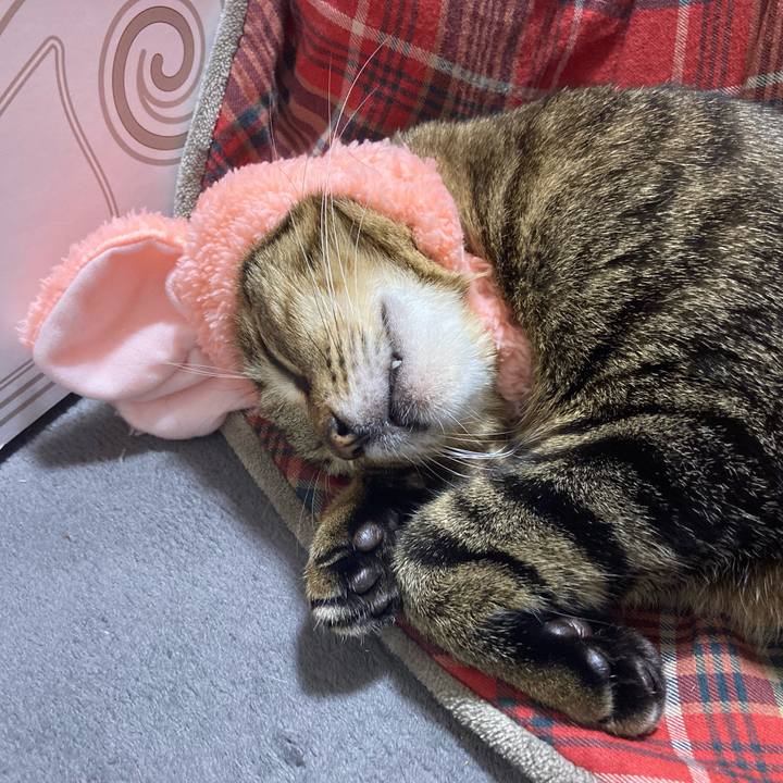 2c5164ea fc91 49f0 b3ef 9eb7ec17a235 1670732741107