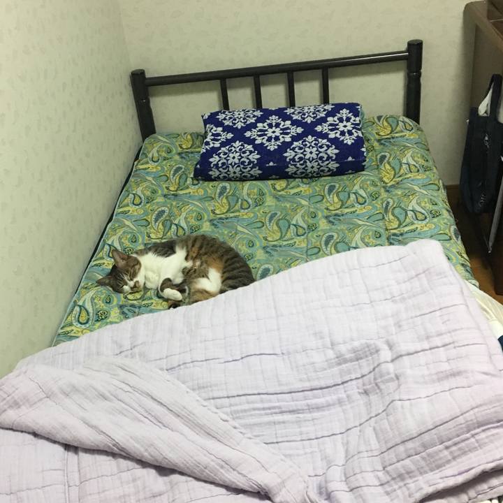 2c518061 10c9 47a2 941e 3c6ecb3dafc6 1532799444709