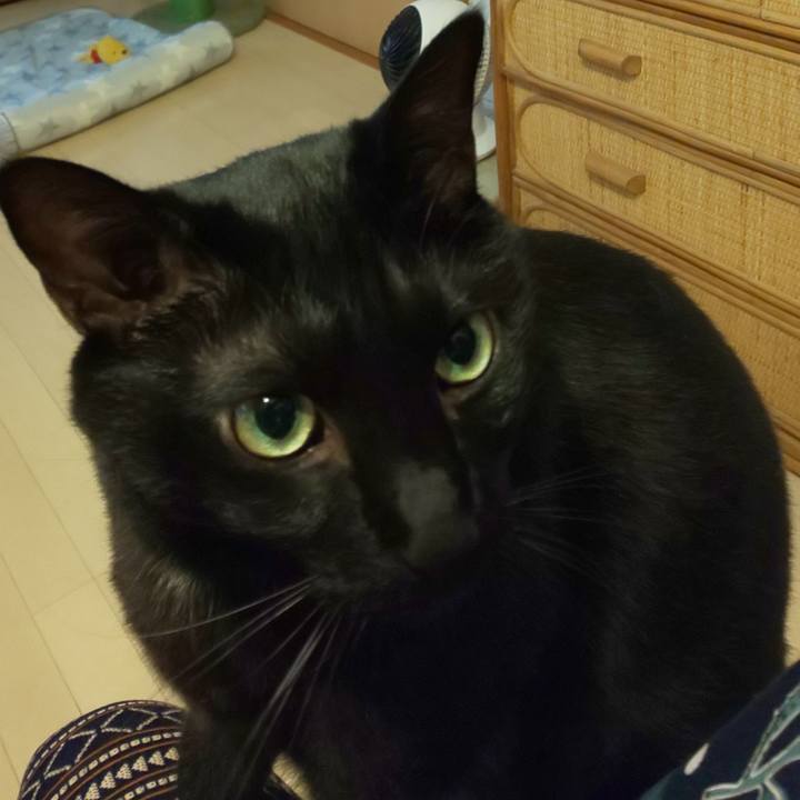 2c51b390 912a 4426 ae27 eccfe1dd91e9 1695680776508