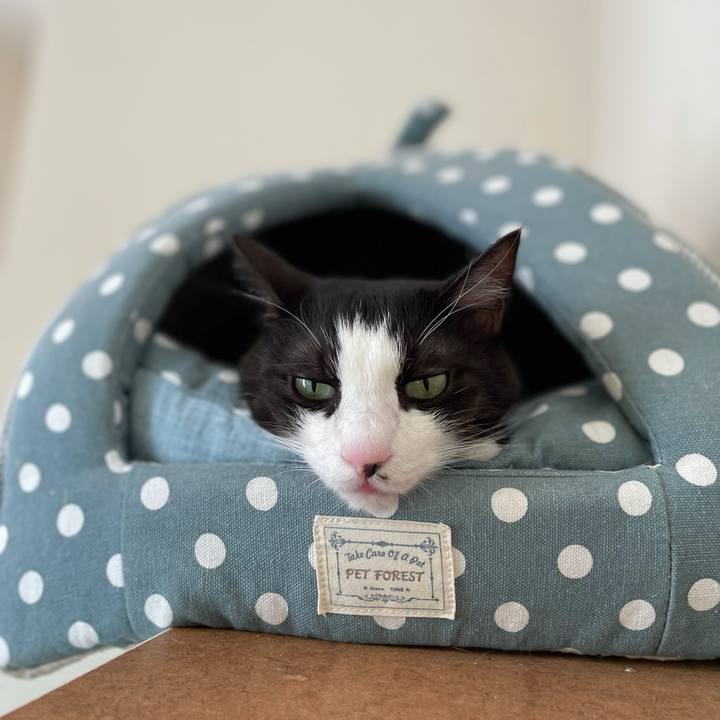 2c51e64b f36c 439b ac58 72af72c097e5 1637897481559