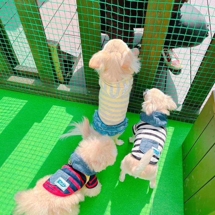 2c51fda1 2d80 49b6 9888 83453af2ff44 1647859004164