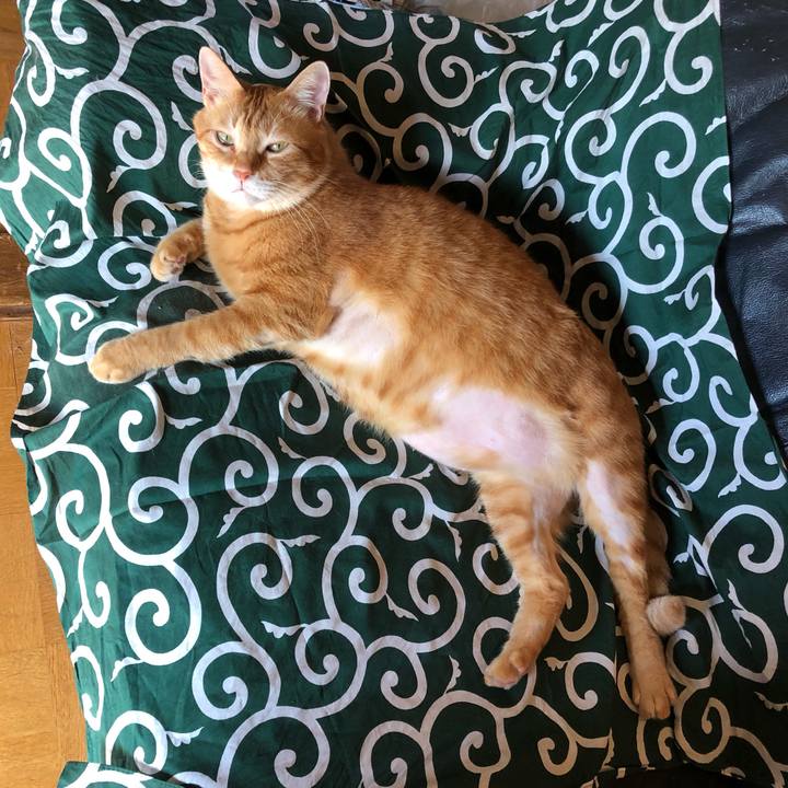 2c521078 eb38 4516 9c30 33cdbdd705e6 1630130390595