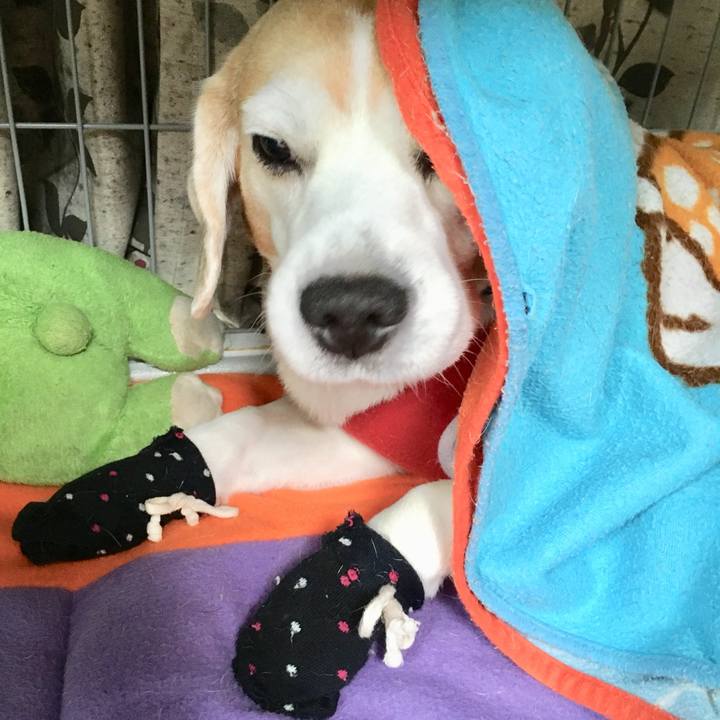 2c524ccb 9e21 4053 b5f0 32ed64f1e02e 1733183554693