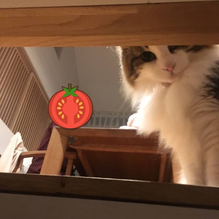 2c52790a 87e3 484f 9fd7 c82e9ded8c7f 1557758845532