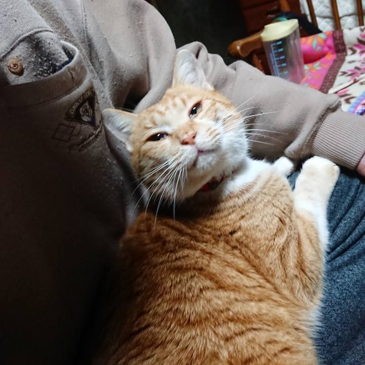 2c52d1a5 6517 43bc b92a f4b21ebff96c 1577910120339