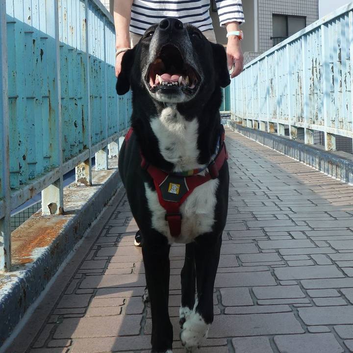 2c532179 63d9 4382 b805 54a7202383a5 1682037091038