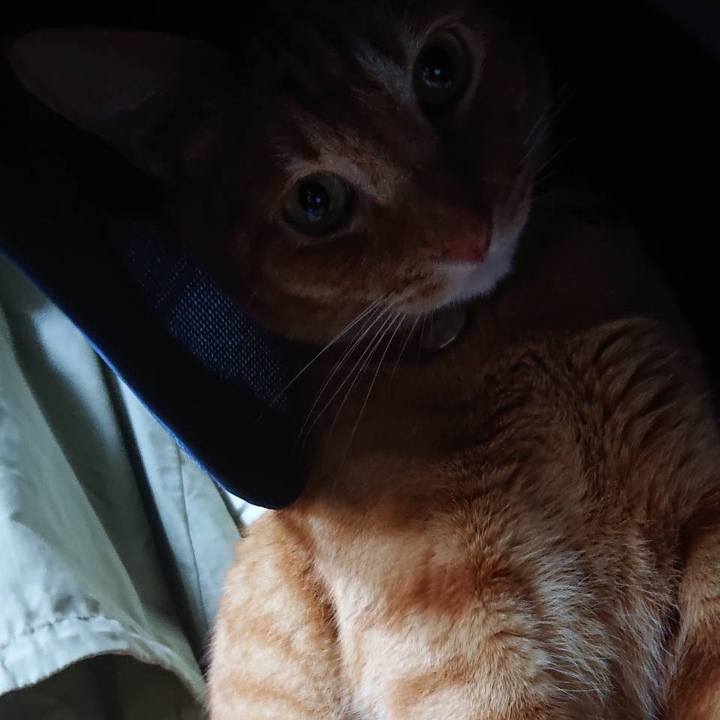 2c532f9c 14ac 4725 b451 52f2b23701e8 1660229460488