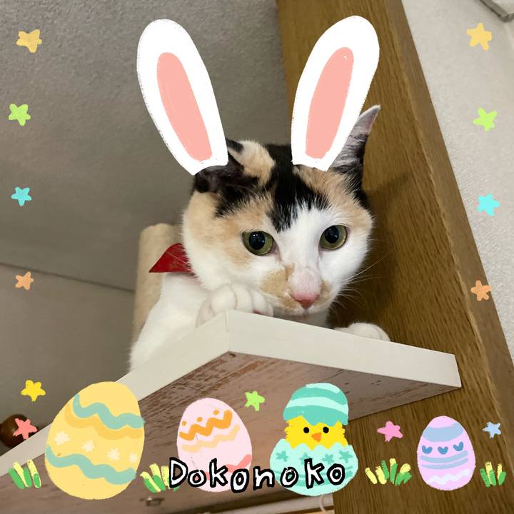 2c5331b3 2928 4661 8af1 7530792809c5 1712198009786