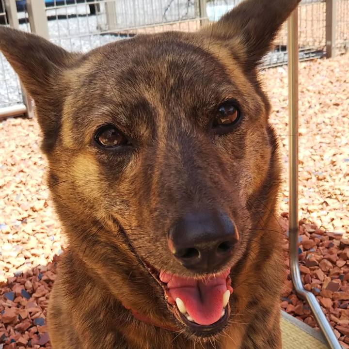 2c5347f3 2dd0 432b 8a44 a6c31d60983b 1526109289104