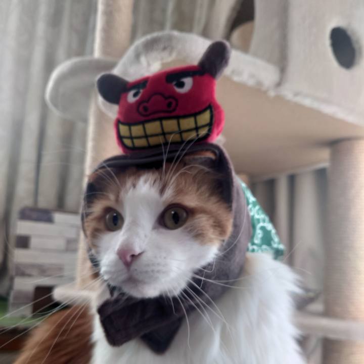 2c53819f 51ad 4465 b845 3b23ff0295a1 1641697492689