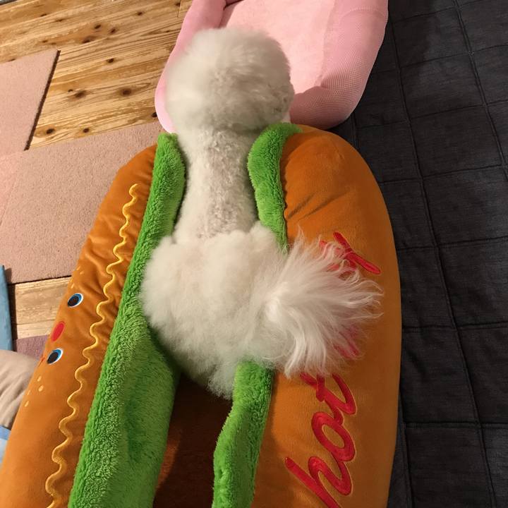 2c538aa7 93a1 47f8 86a1 0850fde807a5 1527335227741