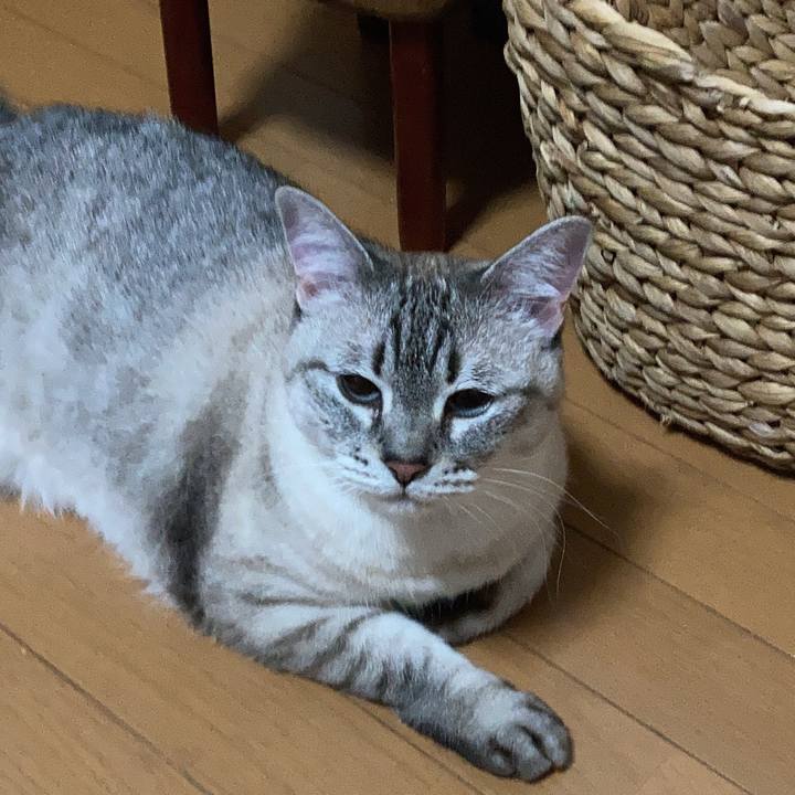 2c53ad72 16db 4f33 8751 74a16fca07e3 1752635712722