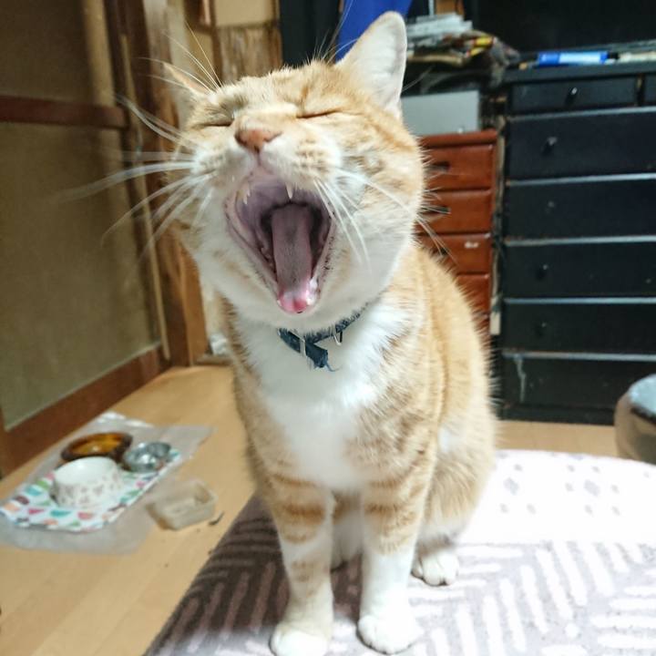 2c53ecae 1e9c 48db ad12 e8c4b5916ac2 1606765007845