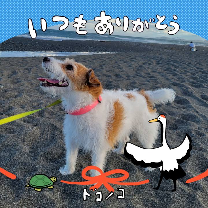 2c53f5e7 c0c5 4cef 9a3a c1391eb17159 1726868314574