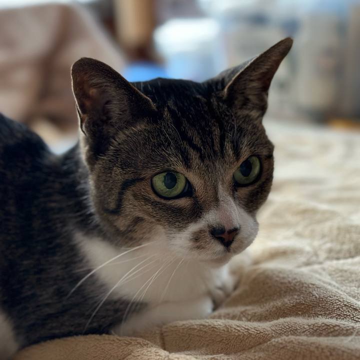 2c54141a 663d 4ddb b6cc 1954e41a41af 1681260950970