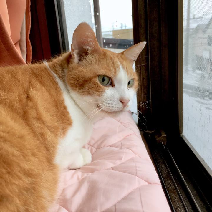 2c5447dd 7618 437c 8d0e 4fe01d382bf8 1566529526071