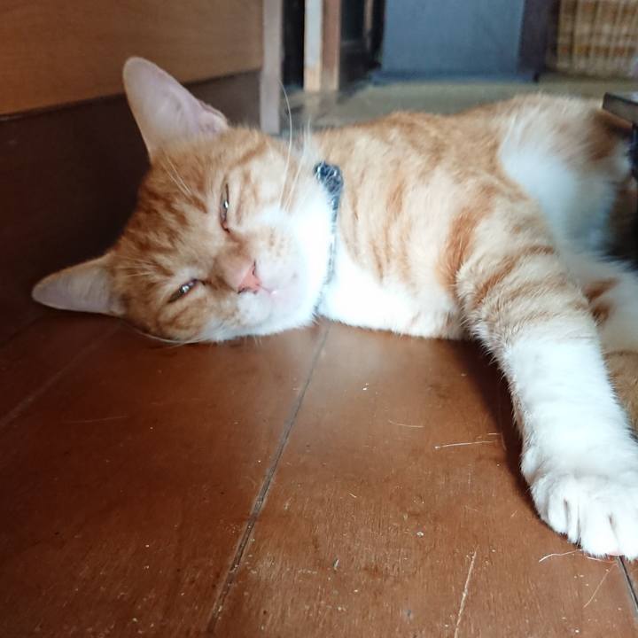 2c5459d7 acd9 491d a0f7 534a9665db1f 1565837081829