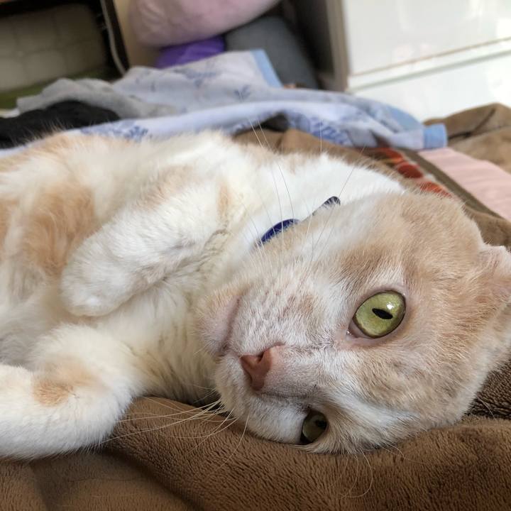 2c546332 f7cb 4ee9 8cd7 babe9d876ba7 1550971542860