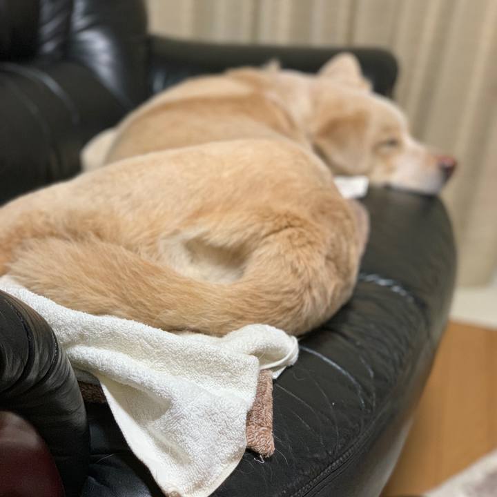 2c548ec7 58fb 4e8e aef4 00937f48cc54 1555251021605