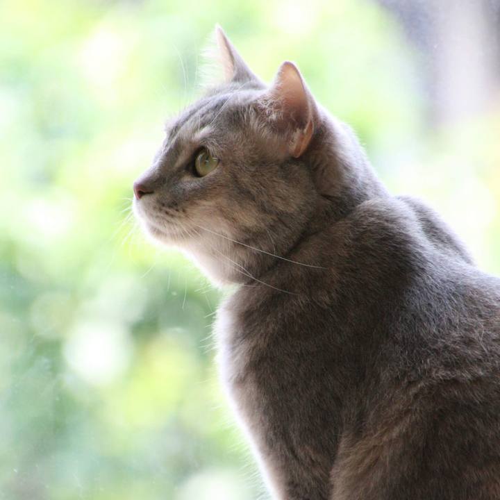 2c549000 889f 46aa b580 824ed89523bb 1560753306209