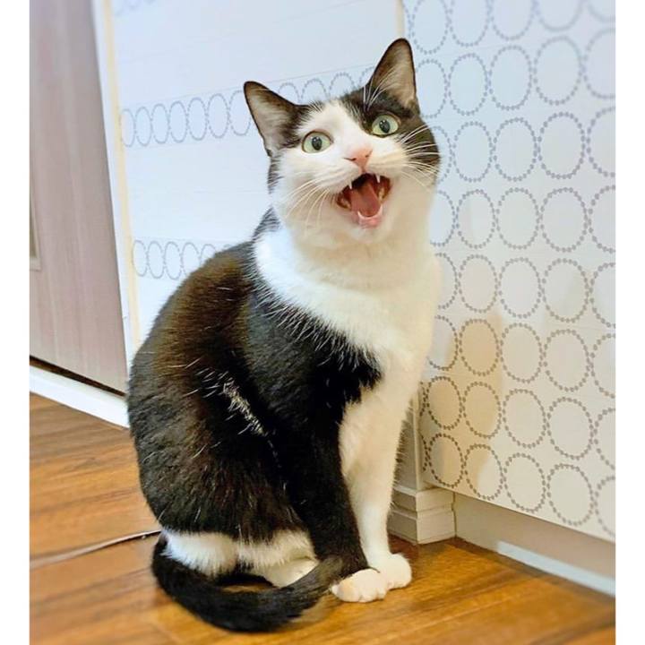 2c54f6bf ff2d 40ce 90cc 9b59d1038da7 1588231606881