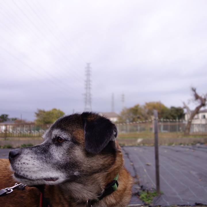 2c5510d2 6eeb 4b6e b9dd 57c439f97e63 1542501019805