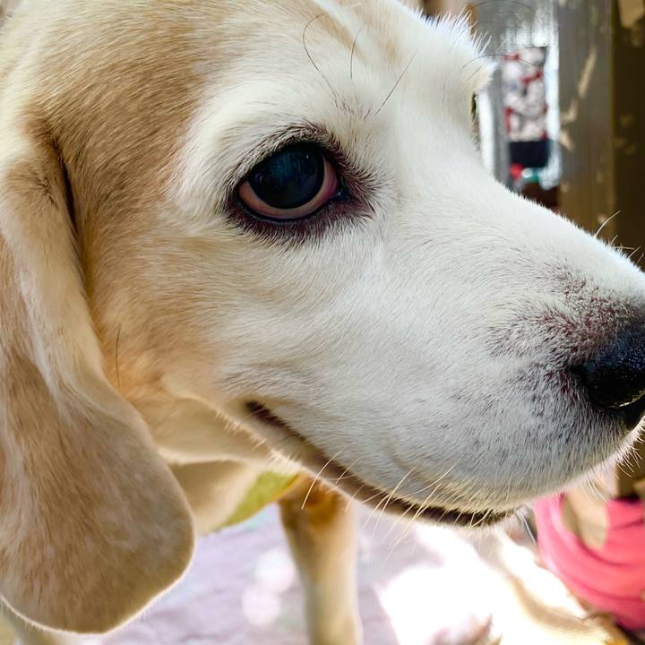 2c5526ad 8ca1 4084 bbc9 8aa7dfb8904e 1638418428135