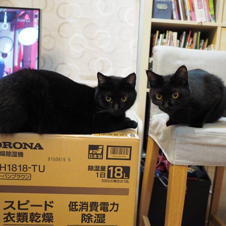 2c5528c8 1e3b 4cad 946e 59f3c4287792 1535287789340