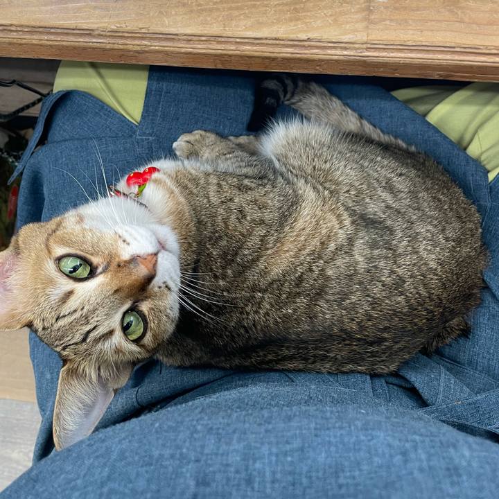 2c55aed0 f08c 4beb 9fea 8d0efb698bb7 1728121015909