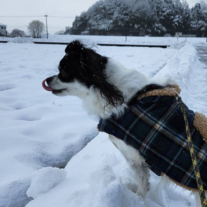 2c55f867 7f67 4591 8a6c 772be7e4e79f 1767568676836