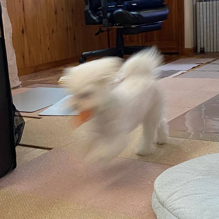 2c55fa9c 3d54 4411 a5ce 9d87dbaa92d1 1754816548729