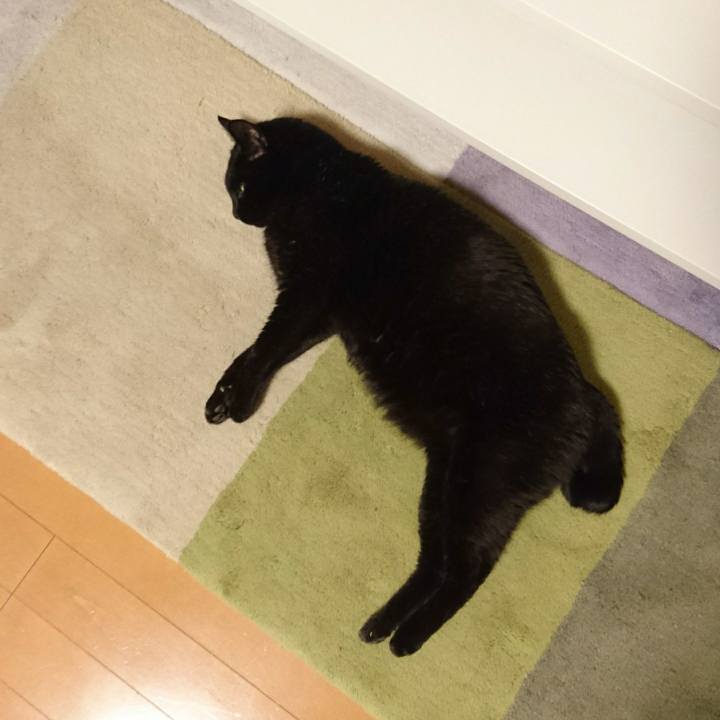 2c56185d 2989 4e32 9fe9 ec6f318d048c 1555570380025