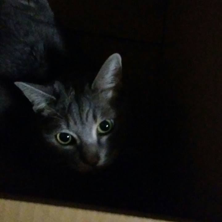 2c5625c4 8662 497d 8834 d4a3b8b65864 1544103206003