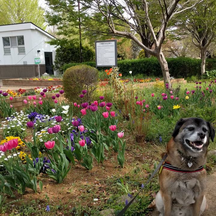 2c56599f b720 46a2 a67b da6f75731e19 1522975829936