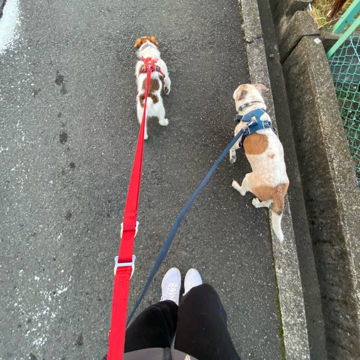 2c5660d9 5e9b 473c 8dd7 476de81fedcb 1673562212568