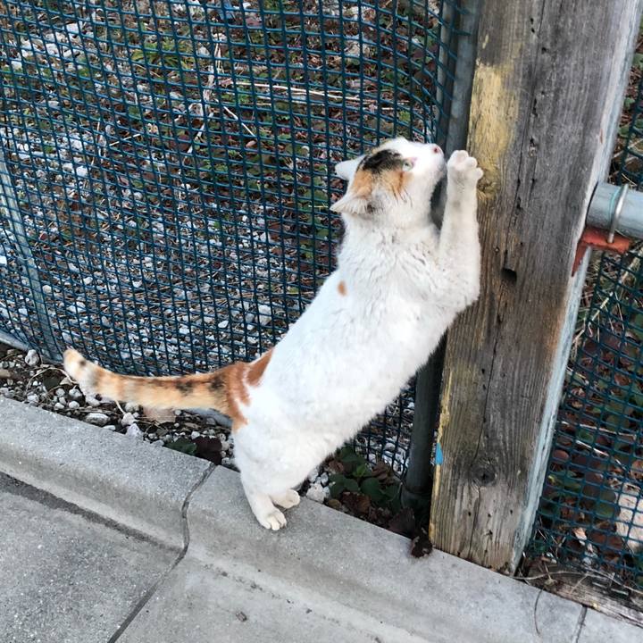 2c56919c ab99 4f00 a611 3f3cb02391e0 1520674049103