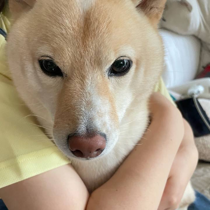 2c56c8e1 bc1e 4c85 a03b 02012ceb30c2 1662421494858