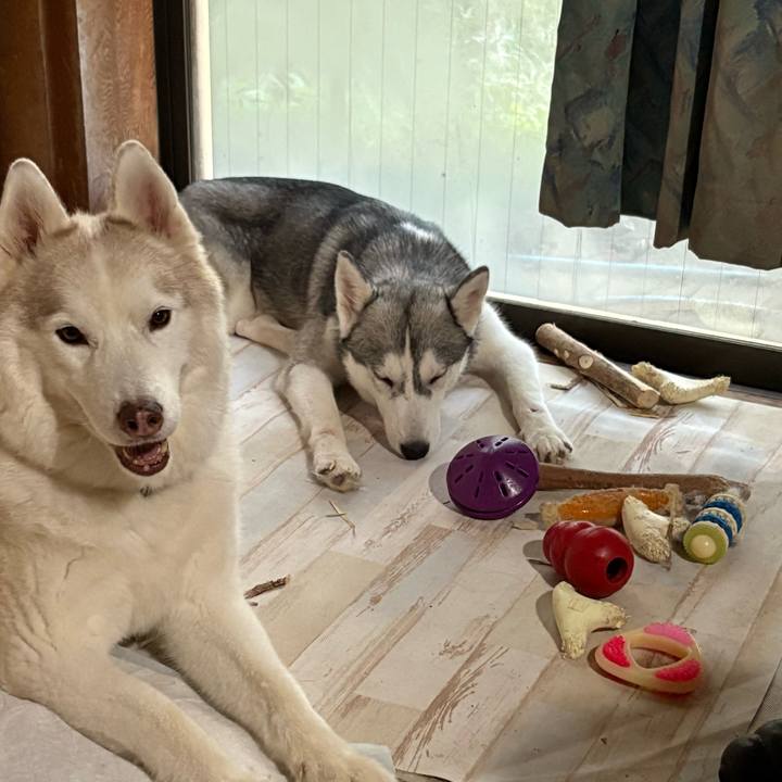 2c56eead 9ee8 4cc3 8990 649f3d01c938 1761538081809