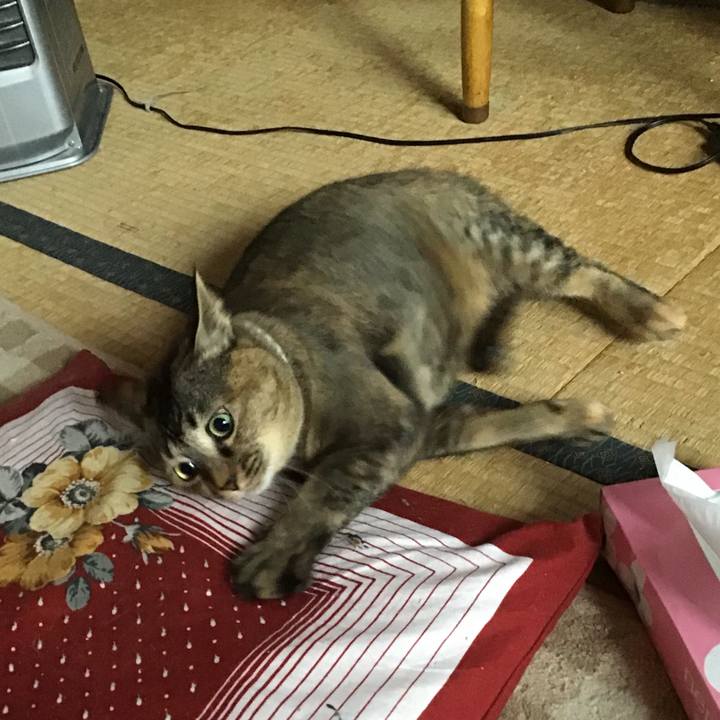 2c5707ef 6013 4b6a 9244 060986dd89cb 1670200061023