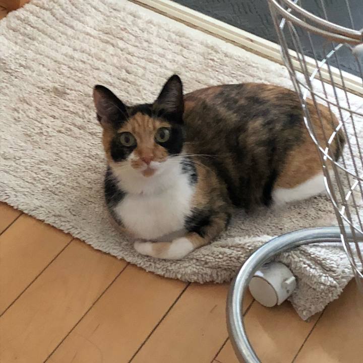 2c57180d 35da 43d3 9da4 65ca3920ac6f 1531734818882