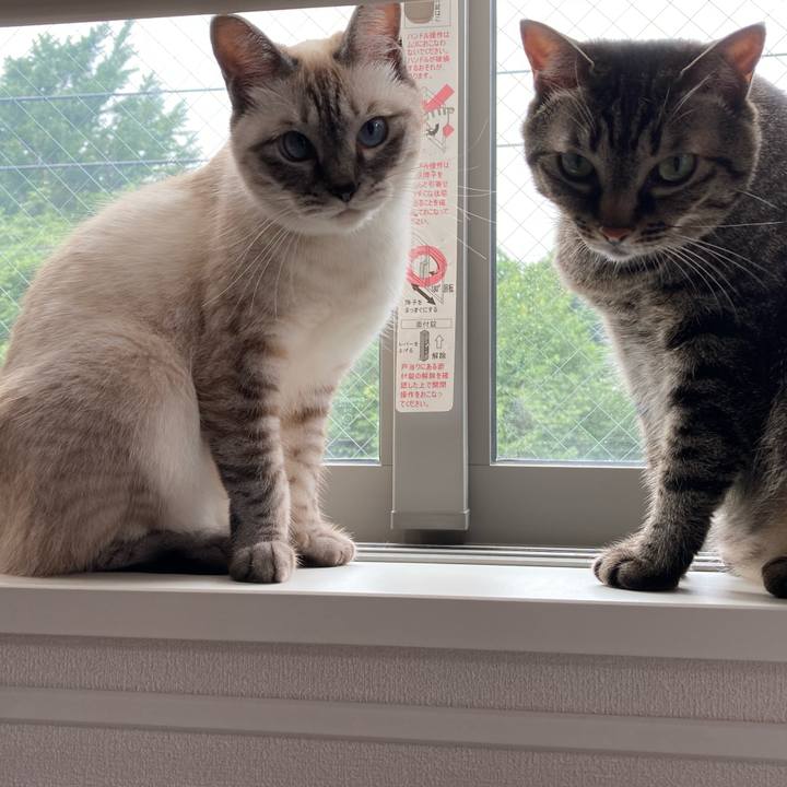 2c5725f4 7127 4c74 8c46 a9a5aad633e5 1595424285226