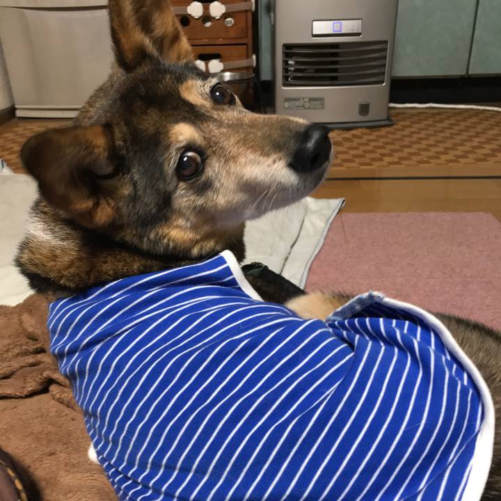 2c575686 5d99 4ae3 94b9 aaba897d5f87 1517567899859