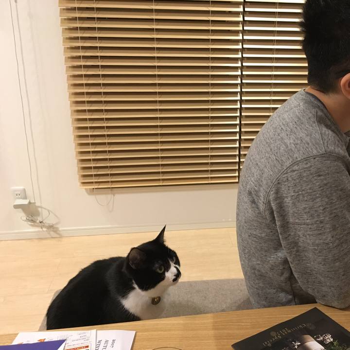 2c575ff1 16eb 4dae a509 3e3bd0f116ab 1516315885655