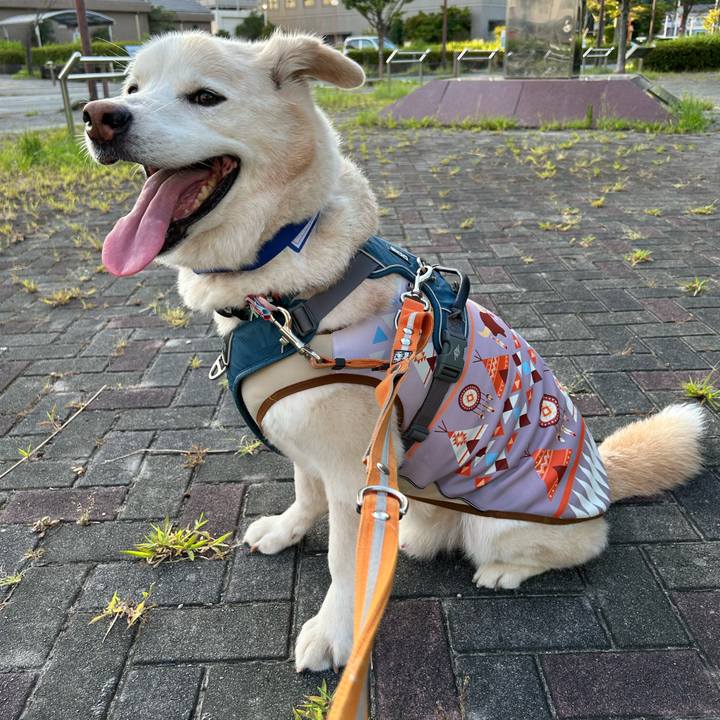 2c578d88 6997 4f40 b872 da17860d328a 1722342694078