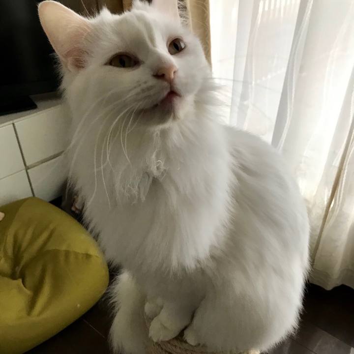 2c578eaf 05ee 4e56 b8c2 13816b154ab1 1552450680641