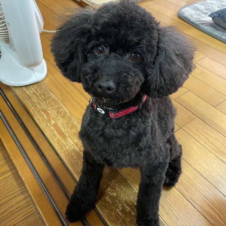 2c57bf71 12bb 4091 92b3 3f8687396e5a 1622090500113