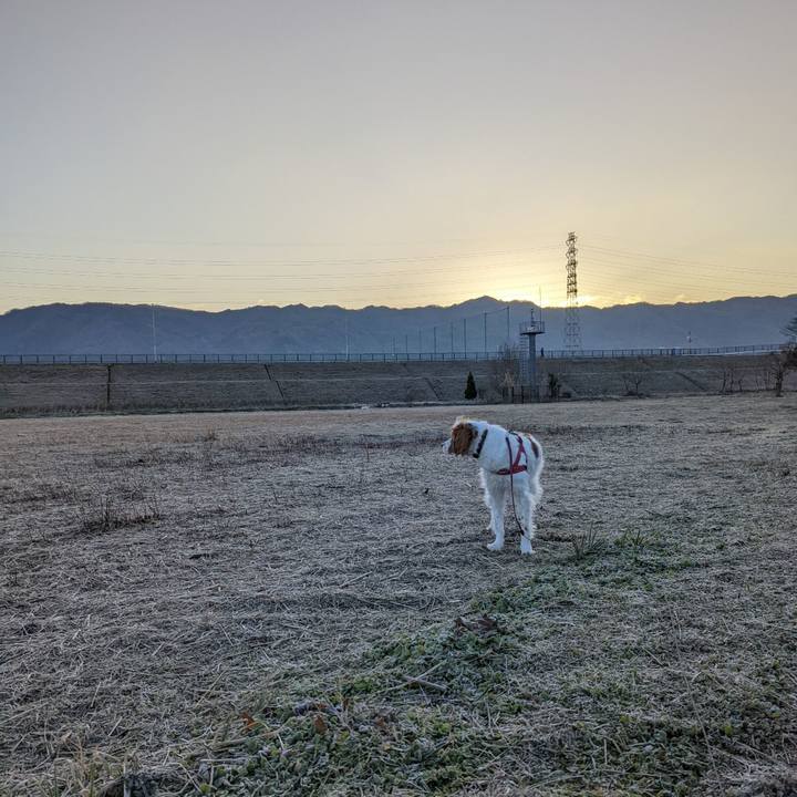 2c57de29 ff79 4e57 bef2 ef2944055bbe 1642733809079