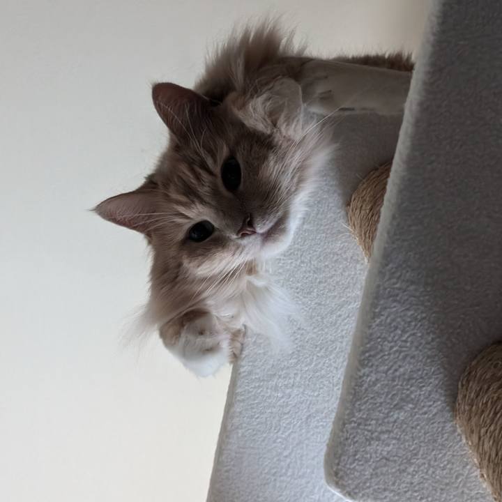 2c57e0b9 891e 4a79 935e 4e54bfb45a27 1726117817761