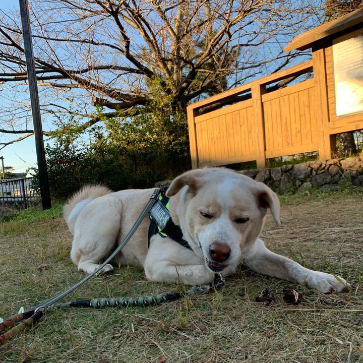 2c57e36b 7247 4695 ae47 838bce4efc72 1545794694182